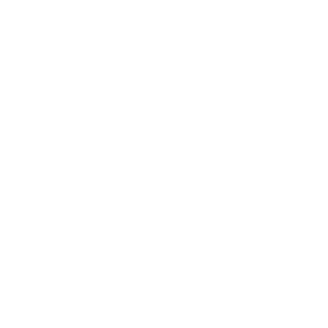 icons_full mouth implant Full Mouth Implant