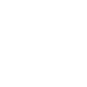 icons_scaling